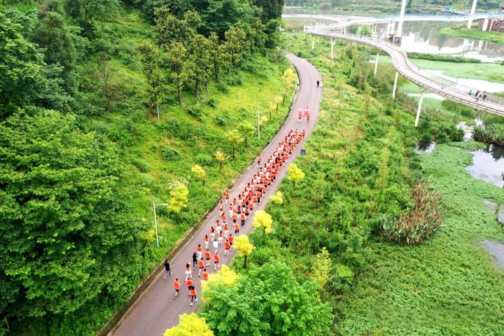 习水：建设国家健康县共筑美丽宜居城(图4)