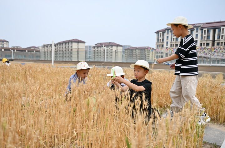 中国之城·倾听一座城丨雄安：未来已来(图12)